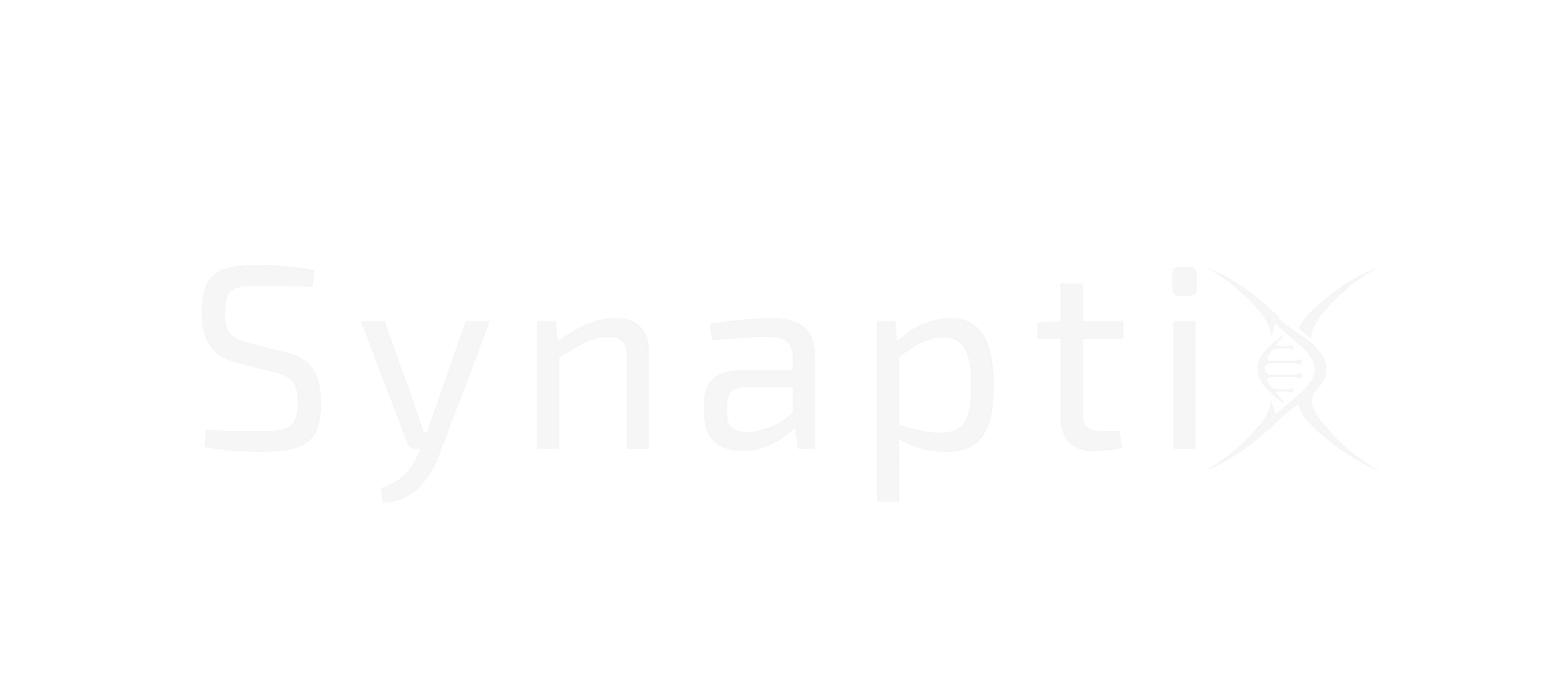 SynaptiX